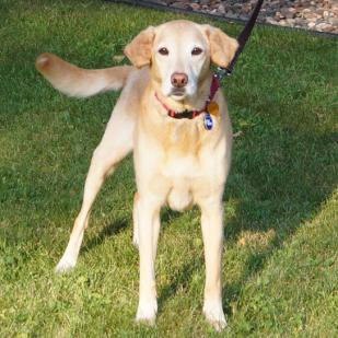 Maggie 18-131