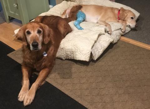Is there room for me?