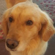 Ellie 19-059A